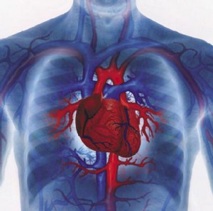 อาหารหัวใจ - คำแนะนำง่ายๆในการหลีกเลี่ยงโรคหัวใจ